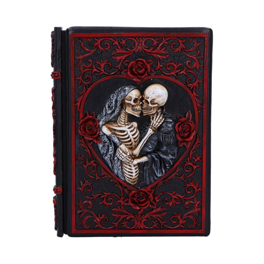 Raven's Grimoire Journal 19cm D7210C25