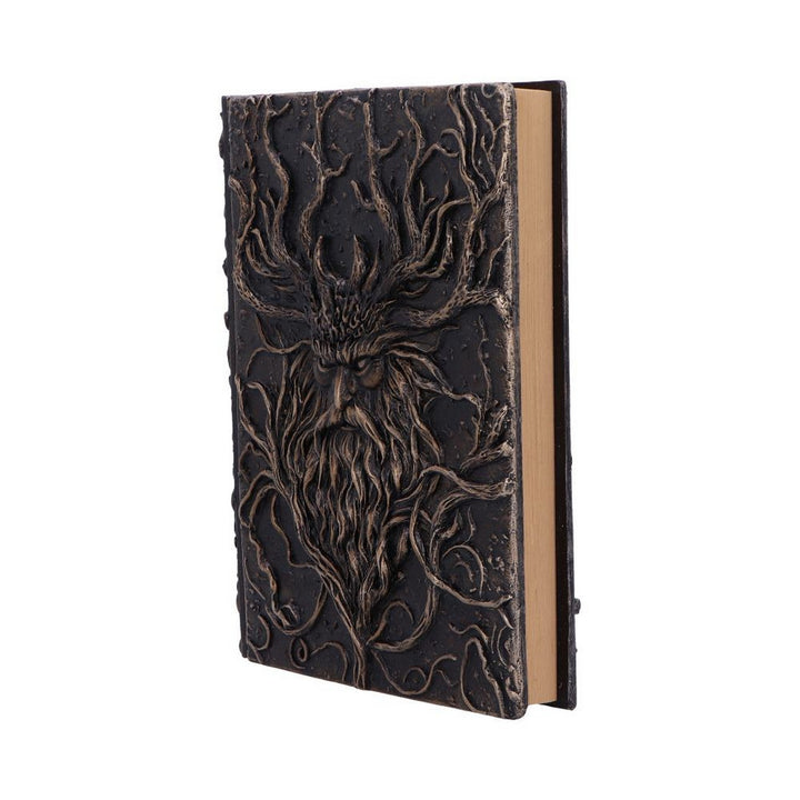 Forest Grimoire Journal 19cm D7211C25