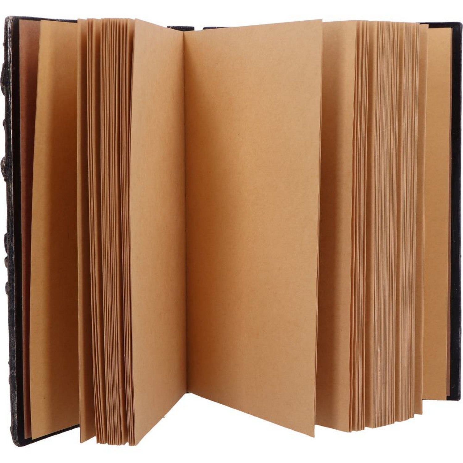 Forest Grimoire Journal 19cm D7211C25