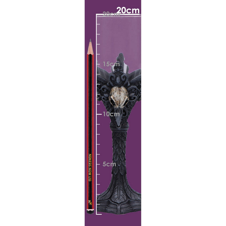 Gothic Raven Nevermore Goblet D7298C25