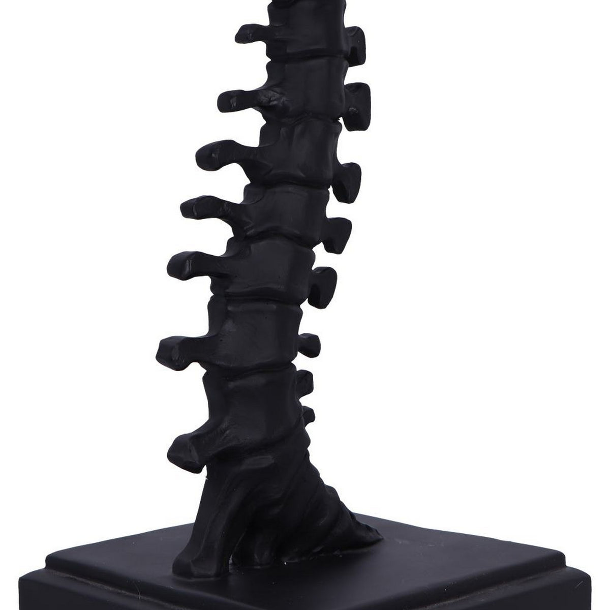 Vertebrae Table Lamp D7307C25