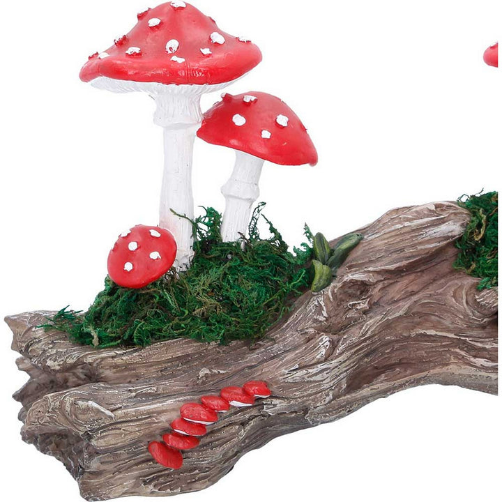 Toadstool Trunk 15.2cm D7401A26