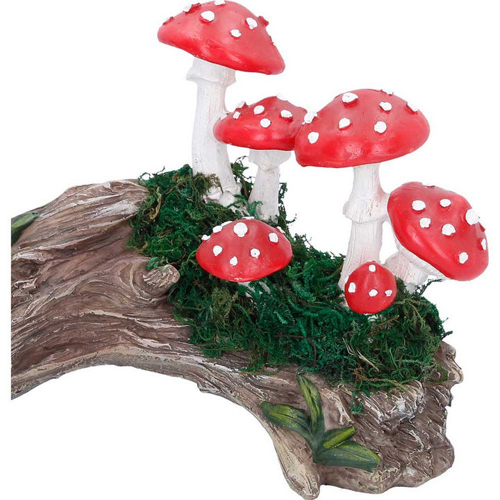 Toadstool Trunk 15.2cm D7401A26