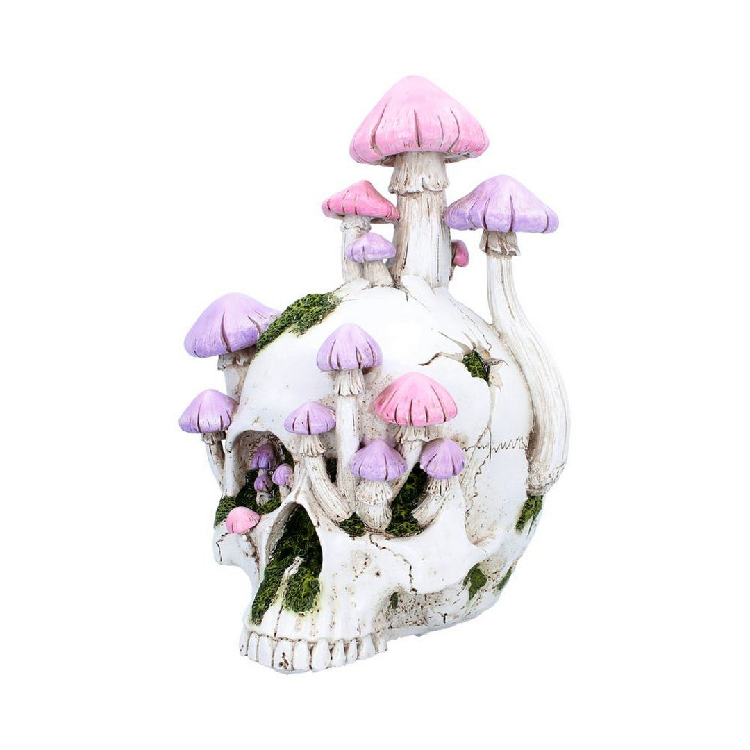Sporebound Skull Figurine 29.5cm D7498B26