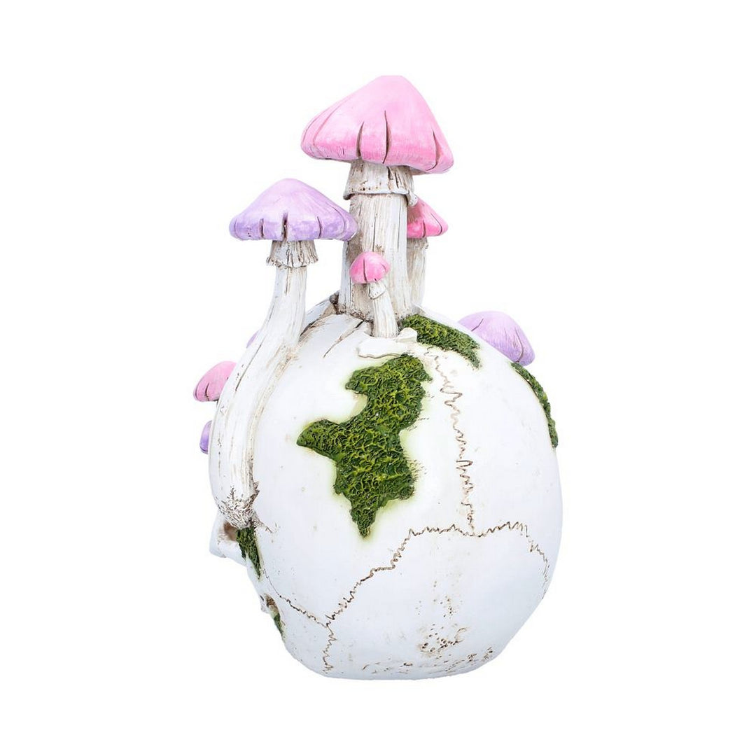 Sporebound Skull Figurine 29.5cm D7498B26