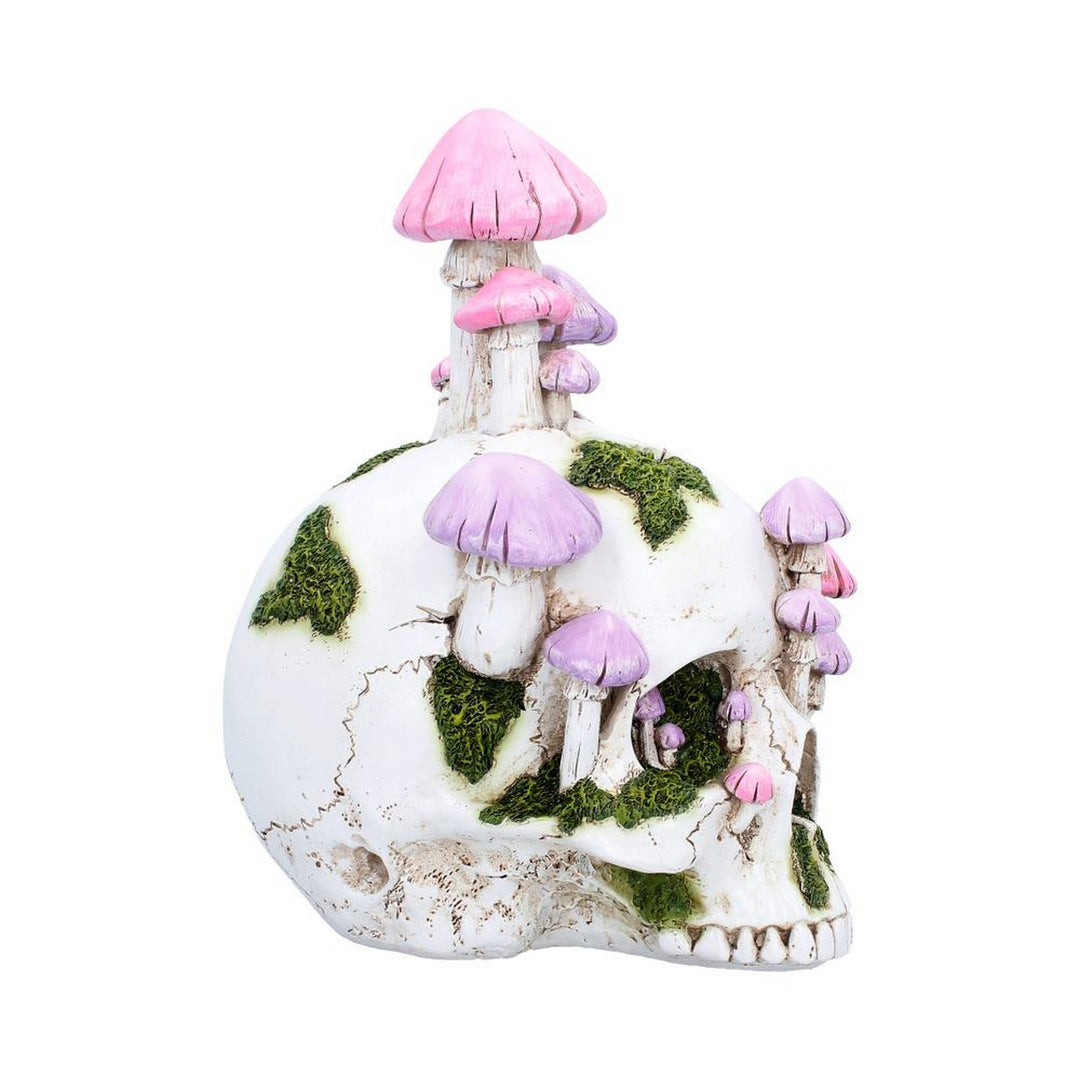 Sporebound Skull Figurine 29.5cm D7498B26