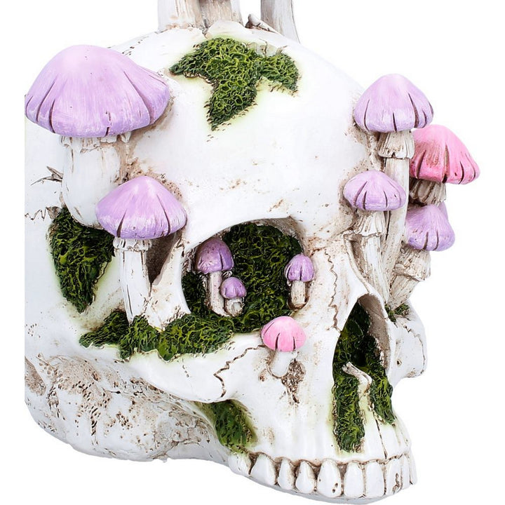 Sporebound Skull Figurine 29.5cm D7498B26