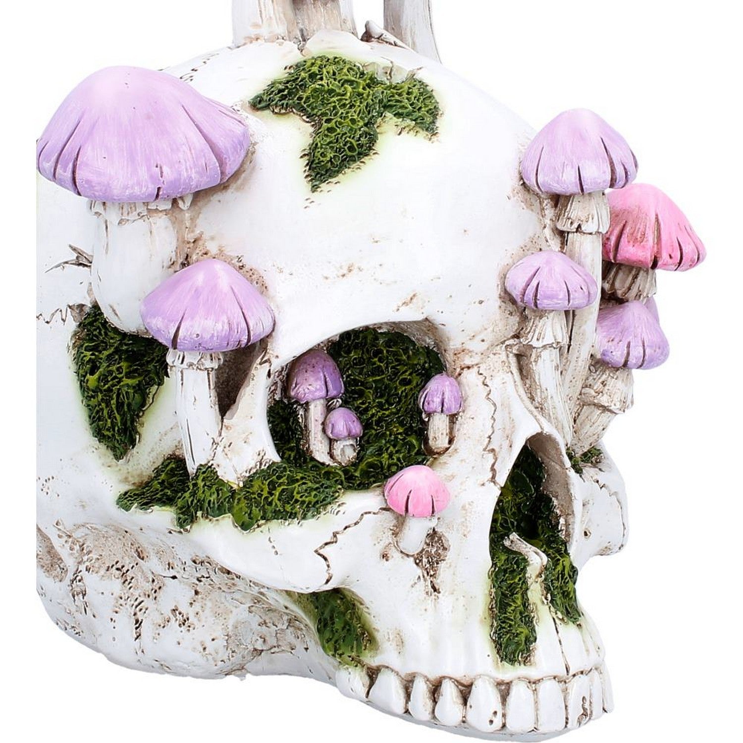 Sporebound Skull Figurine 29.5cm D7498B26