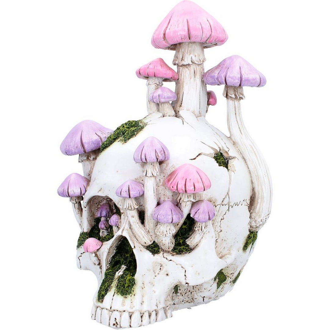 Sporebound Skull Figurine 29.5cm D7498B26