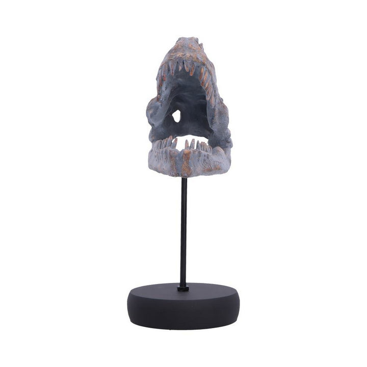 Tyrannosaurus Rex Skull on Plinth 24.2cm D7553B26