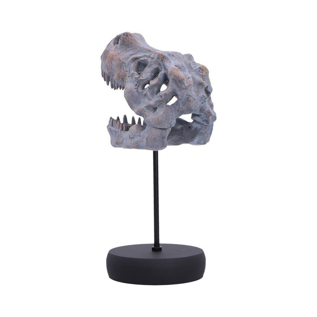 Tyrannosaurus Rex Skull on Plinth 24.2cm D7553B26