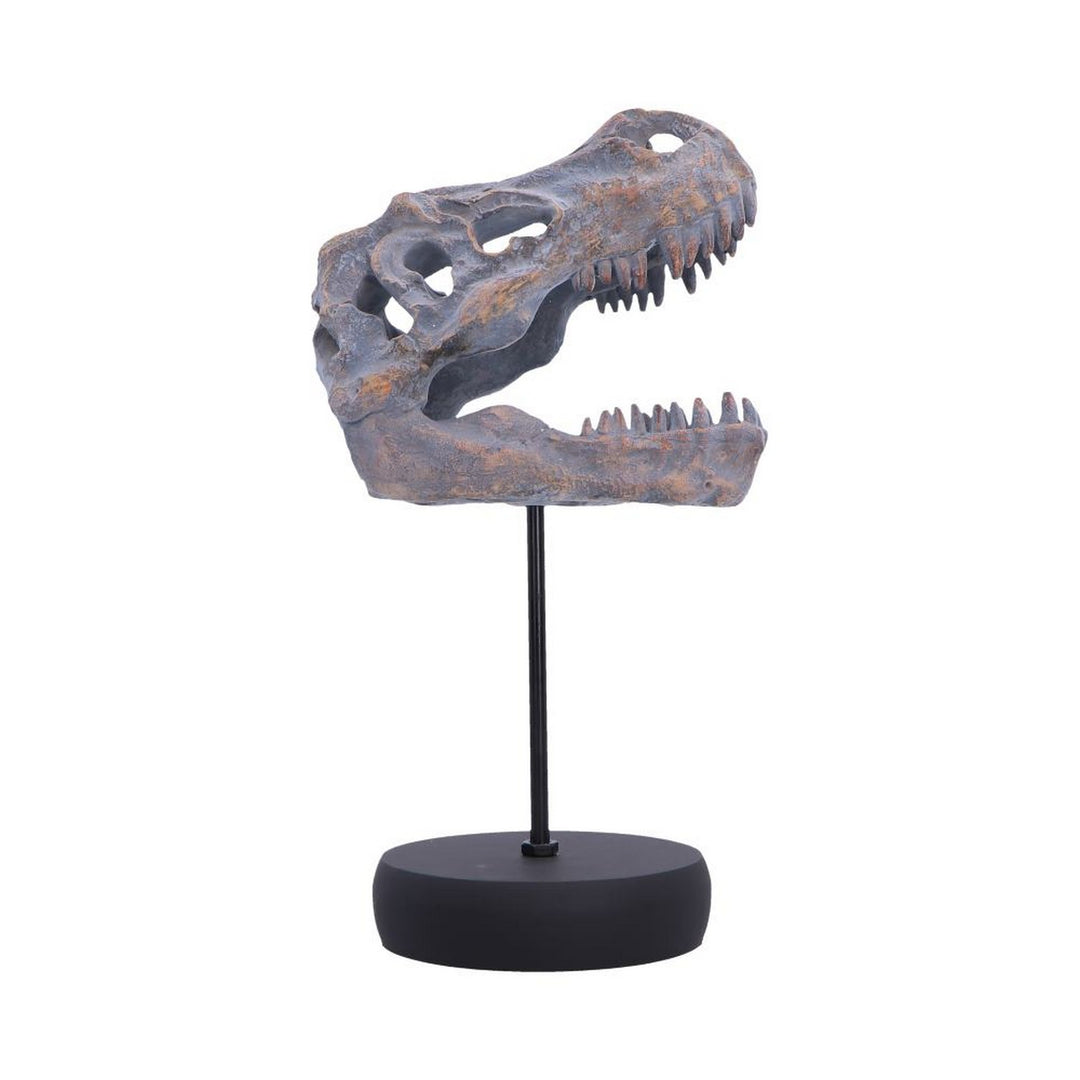 Tyrannosaurus Rex Skull on Plinth 24.2cm D7553B26