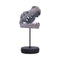 Tyrannosaurus Rex Skull on Plinth 24.2cm D7553B26