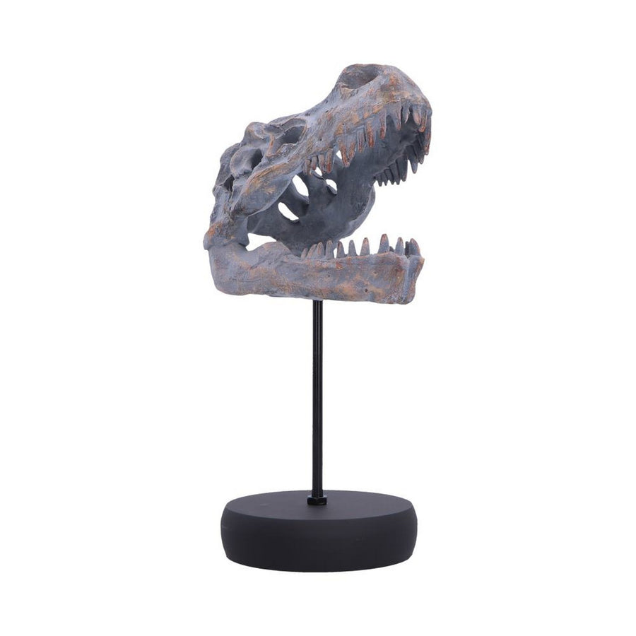Tyrannosaurus Rex Skull on Plinth 24.2cm D7553B26