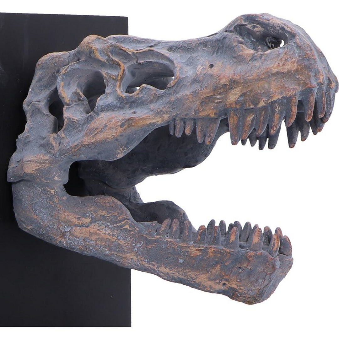 Tyrannossaurus Rex Skull Bookends 17.1cm D7554B26