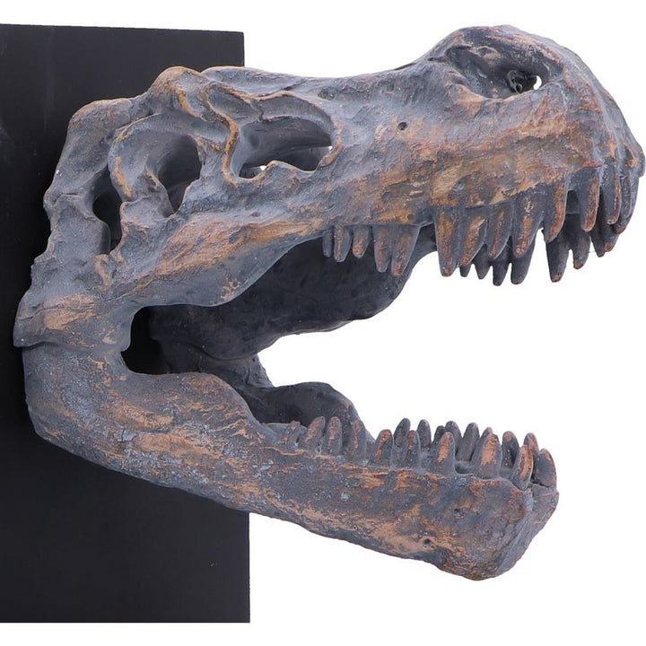 Tyrannossaurus Rex Skull Bookends 17.1cm D7554B26