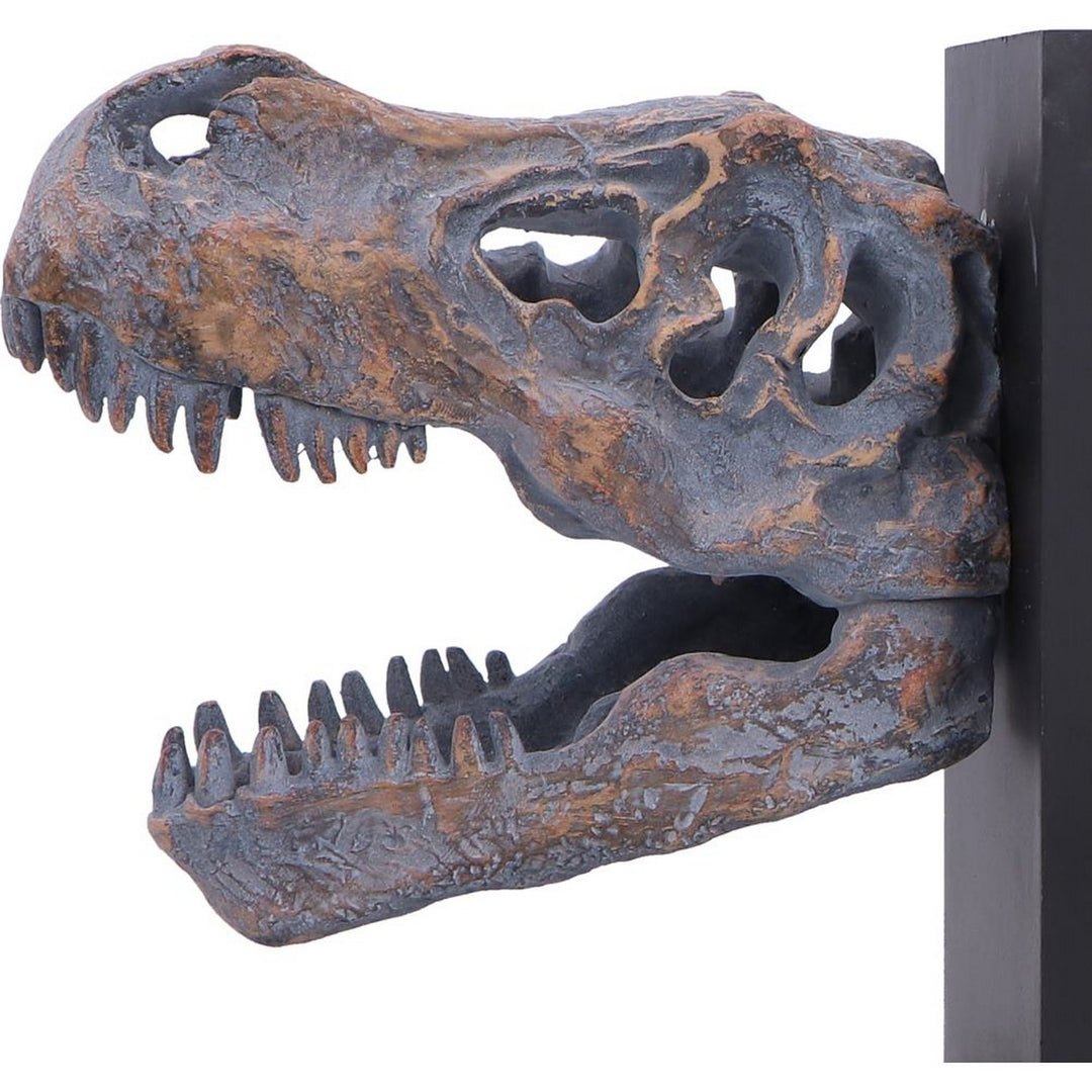 Tyrannossaurus Rex Skull Bookends 17.1cm D7554B26