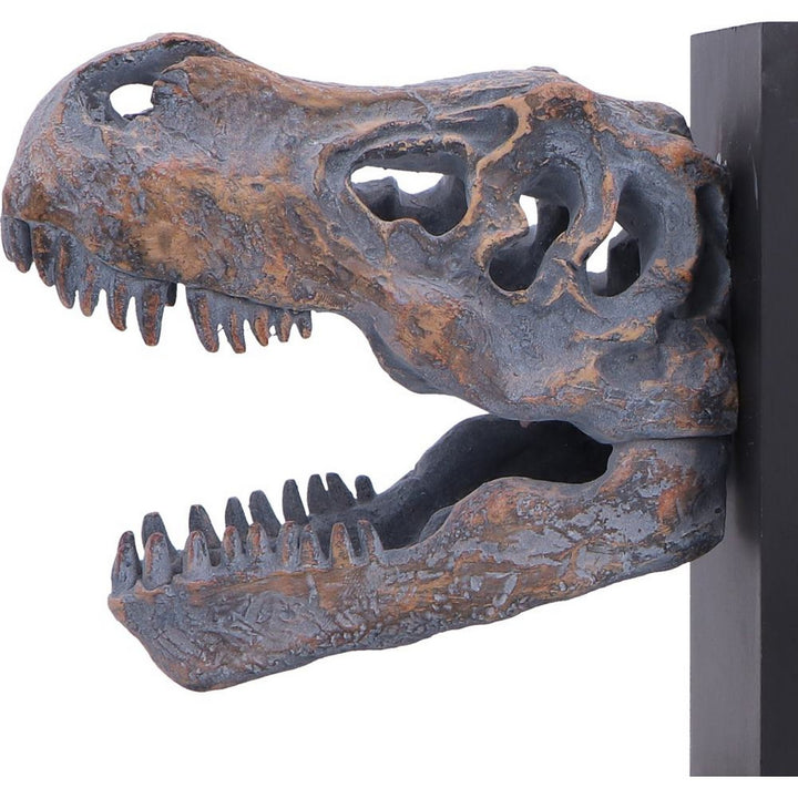 Tyrannossaurus Rex Skull Bookends 17.1cm D7554B26