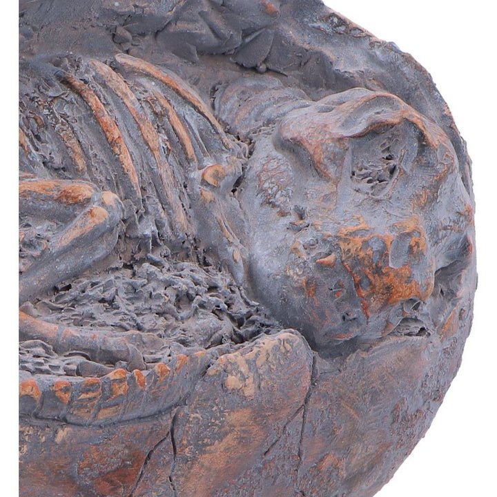 Tyrannosaurus Rex Egg Figurine 13.3cm D7555B26