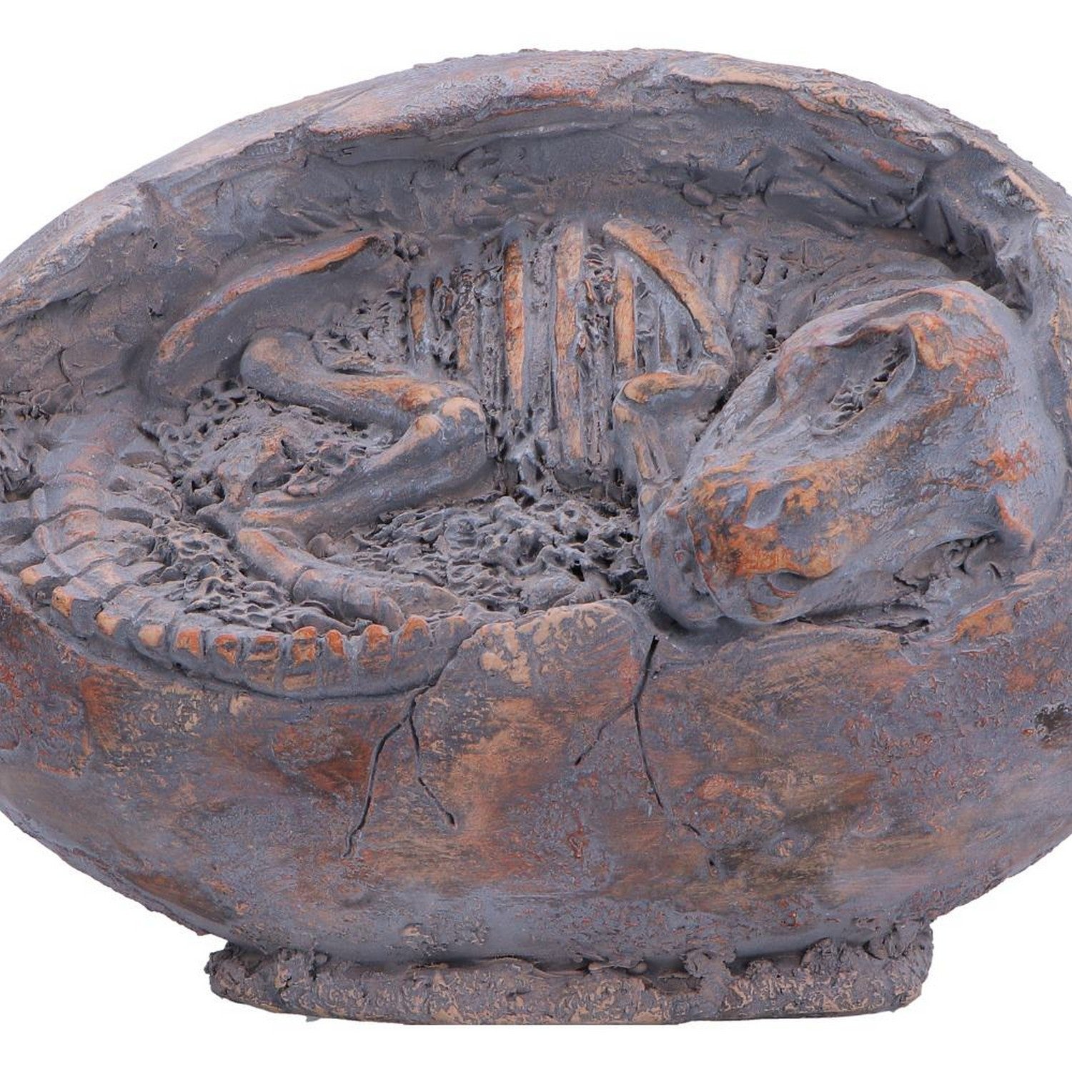 Tyrannosaurus Rex Egg Figurine 13.3cm D7555B26