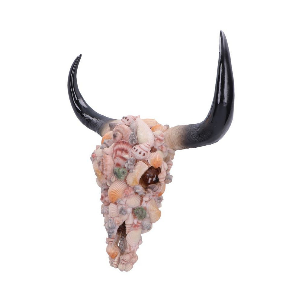 Ocean Crown Skull Ornament 44cm D7576B26