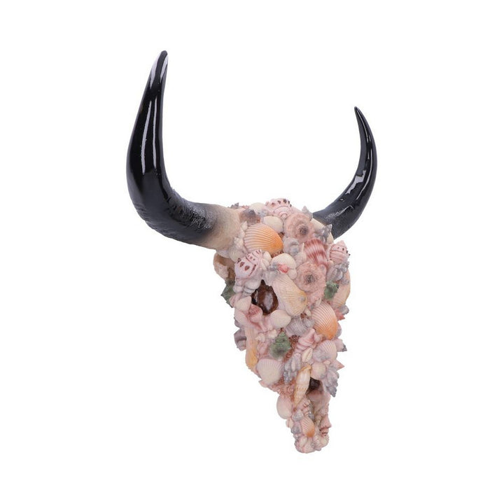 Ocean Crown Skull Ornament 44cm D7576B26