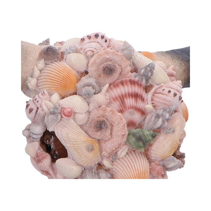 Ocean Crown Skull Ornament 44cm D7576B26