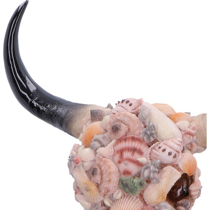 Ocean Crown Skull Ornament 44cm D7576B26