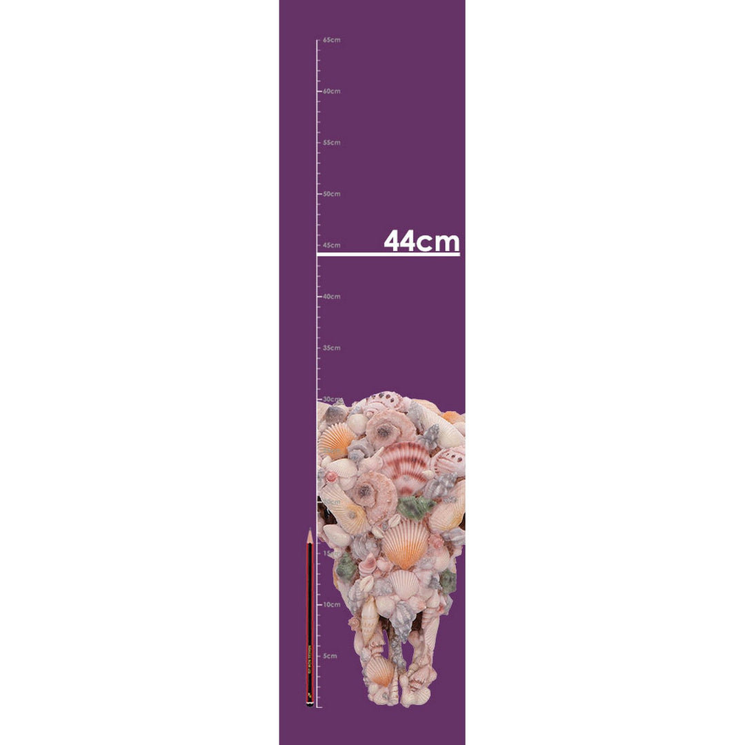 Ocean Crown Skull Ornament 44cm D7576B26