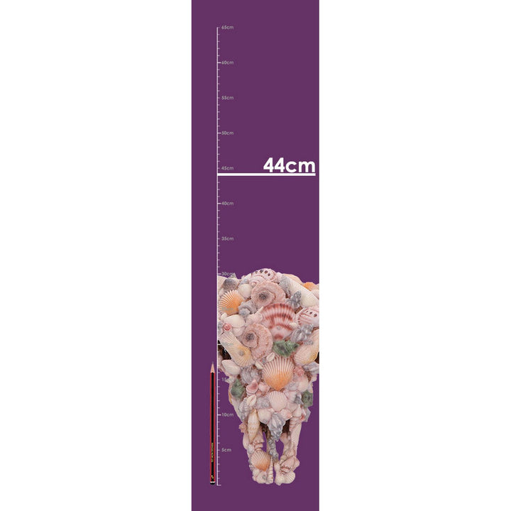 Ocean Crown Skull Ornament 44cm D7576B26