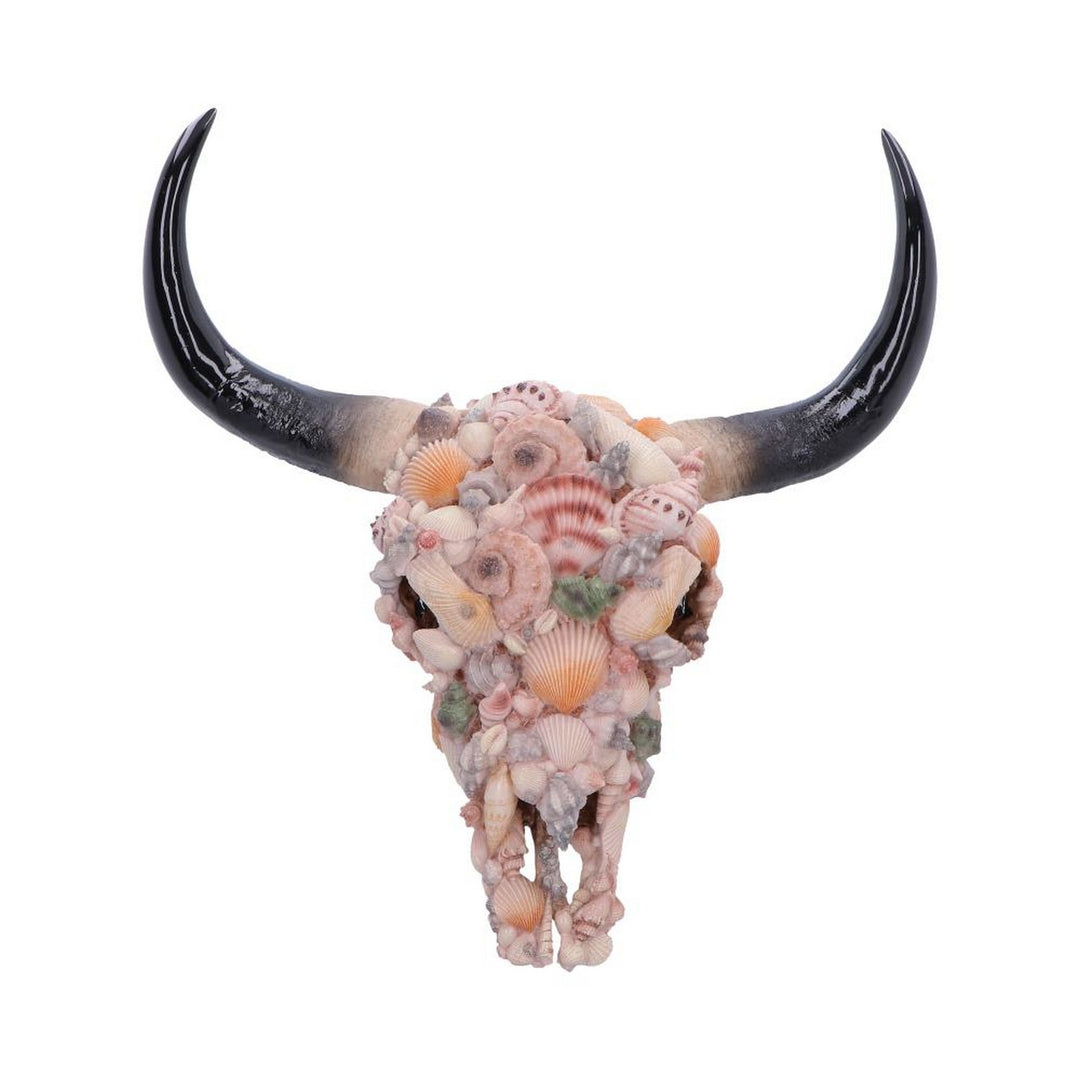 Ocean Crown Skull Ornament 44cm D7576B26
