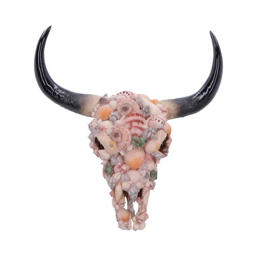 Ocean Crown Skull Ornament 44cm D7576B26
