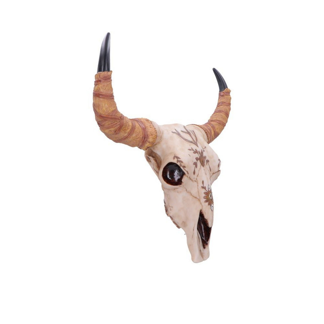 Spirit of the South Crown Skull Ornament 42.5cm D7577B26