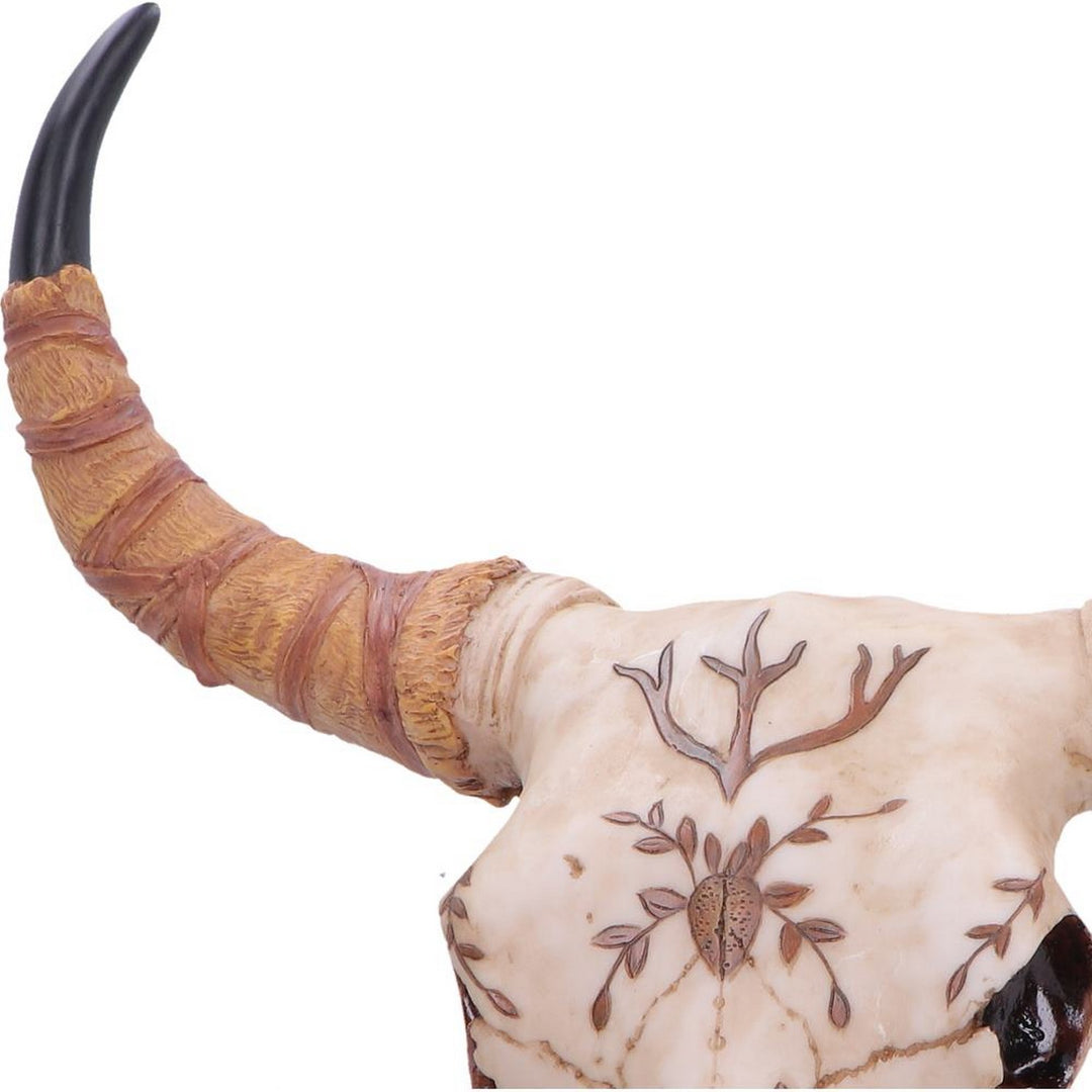 Spirit of the South Crown Skull Ornament 42.5cm D7577B26
