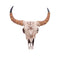 Spirit of the South Crown Skull Ornament 42.5cm D7577B26
