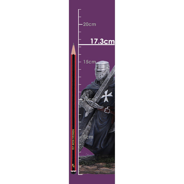 Black Knight Hospitaller Figurine 17.3cm D7622B26