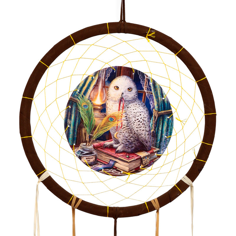 Lisa Parker Guardian Of Spells Owl Dreamcatcher 33cm DCPB02Z