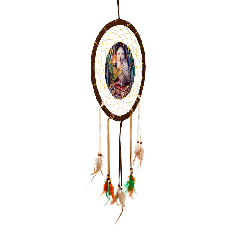 Lisa Parker Guardian Of Spells Owl Dreamcatcher 33cm DCPB02Z