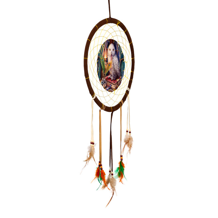 Lisa Parker Guardian Of Spells Owl Dreamcatcher 33cm DCPB02Z