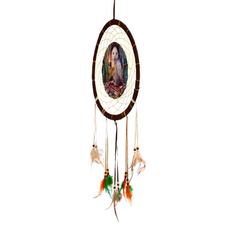 Lisa Parker Guardian Of Spells Owl Dreamcatcher 33cm DCPB02Z
