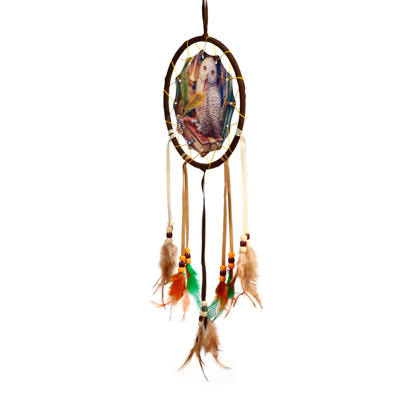 Lisa Parker Guardian of Spells Owl Dreamcatcher 16cm DCPB06Z