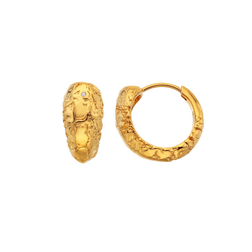 Gold hoop earrings 