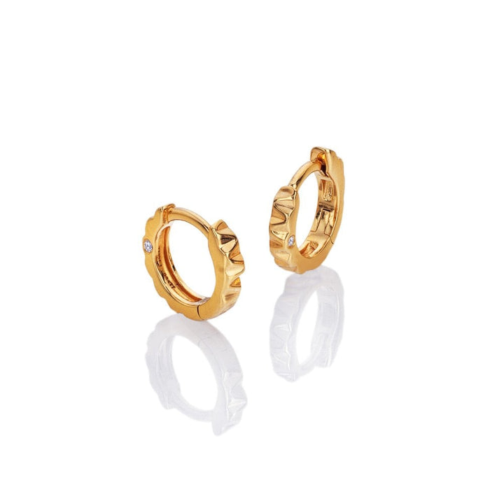 Gold hoop earrings 