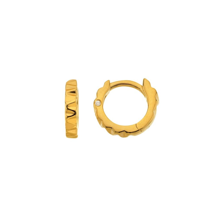 Gold hoop earrings 