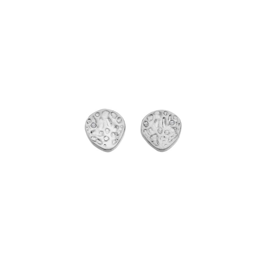 Sterling Silver Marble Earrings DE861