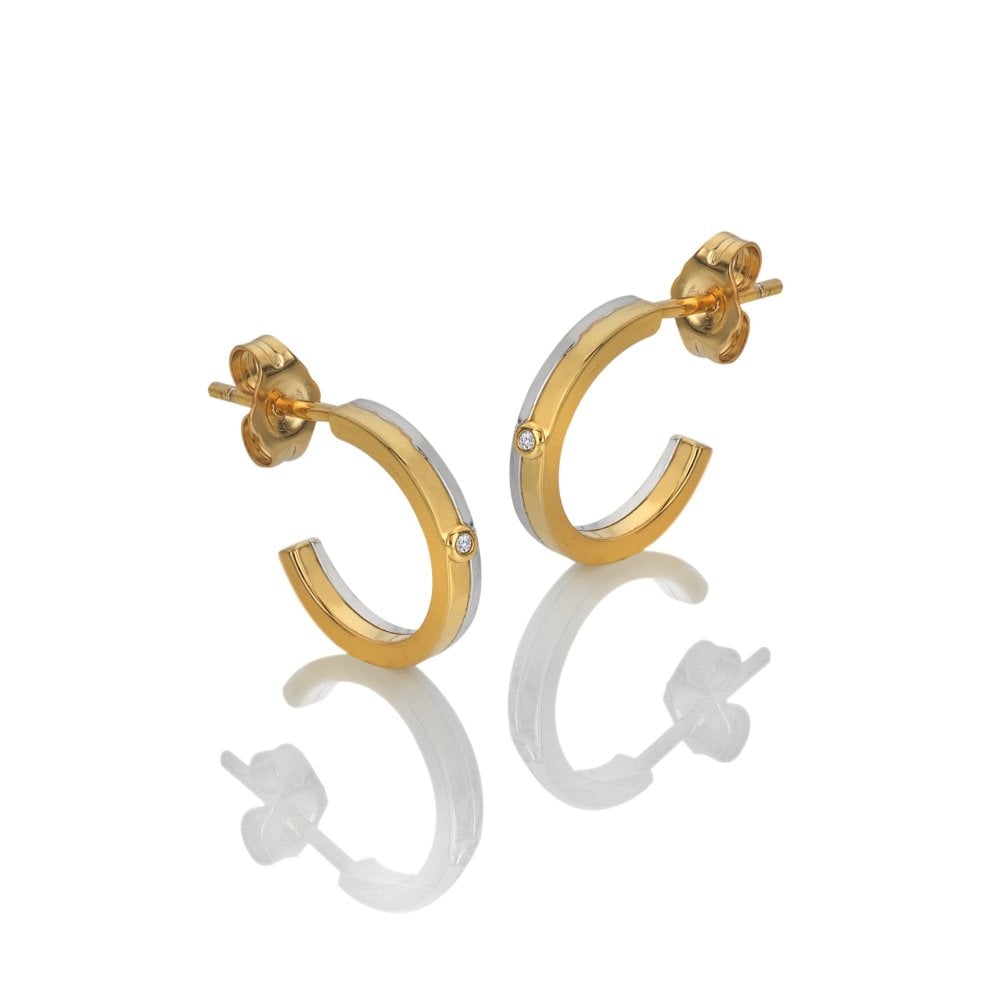 Sterling Silver Parellel Two Tone Earrings DE863