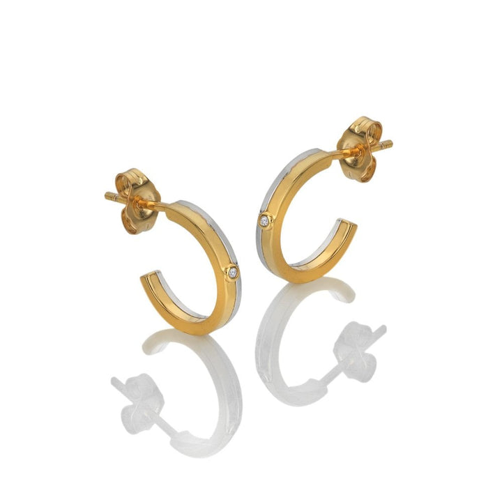 Gold hoop earrings 