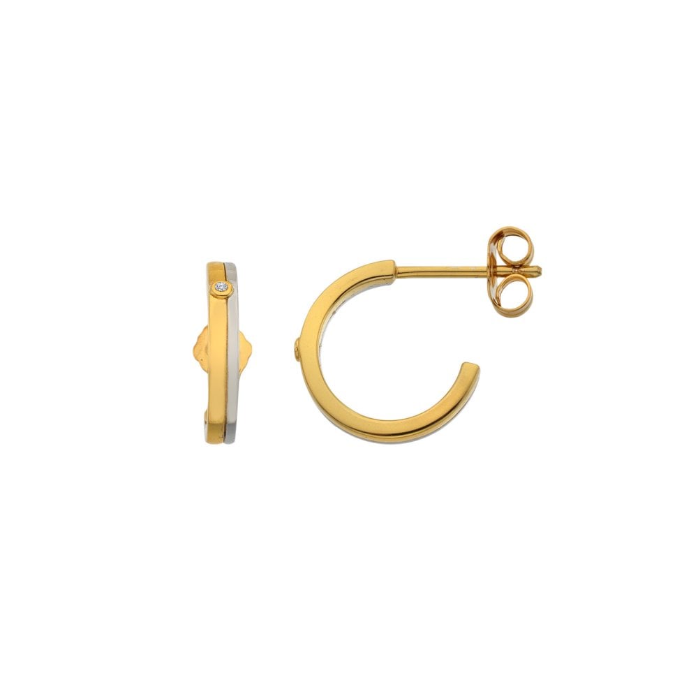 Gold hoop earrings 