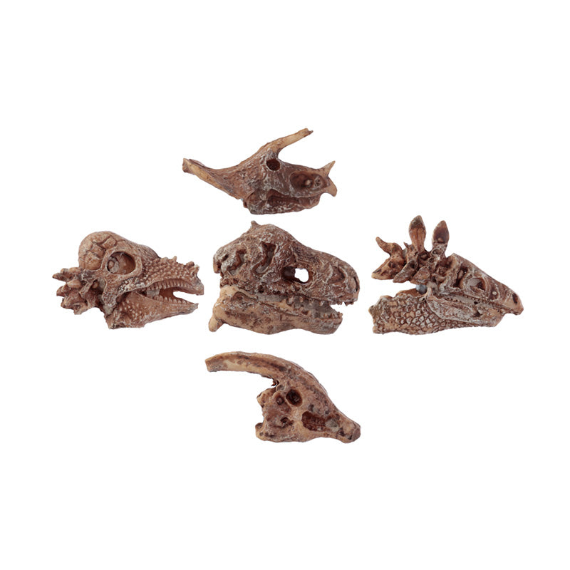 Rawr Dinosaur Skull Fossil Dig-A-Saurs Dig it Out Kit DIG49