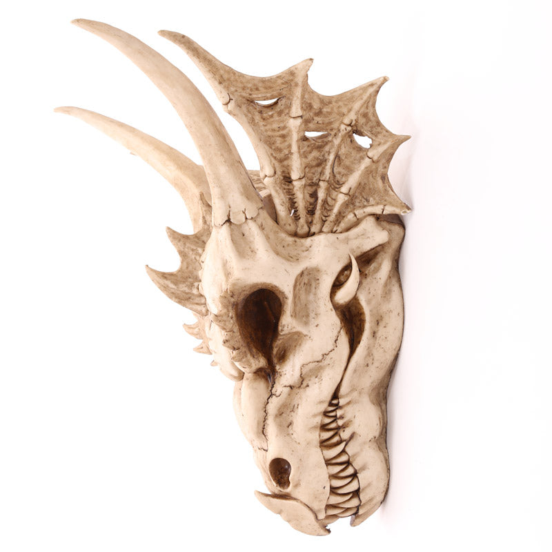 Large Dragon Skull Decoration DRG390